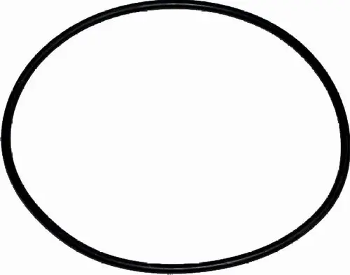 Wolf-O-Ring-Dichtung-110x3-5-fuer-Gasbrennwertkessel-3910140 gallery number 1